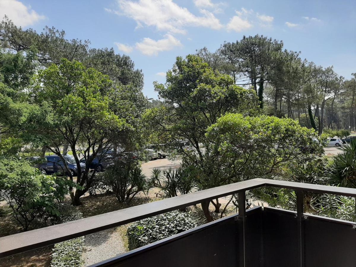 Studio Cosy Proche Ocean Et Commerces, Parfait Pour Des Vacances A Deux! - Fr-1-239-437 سانيوس المظهر الخارجي الصورة