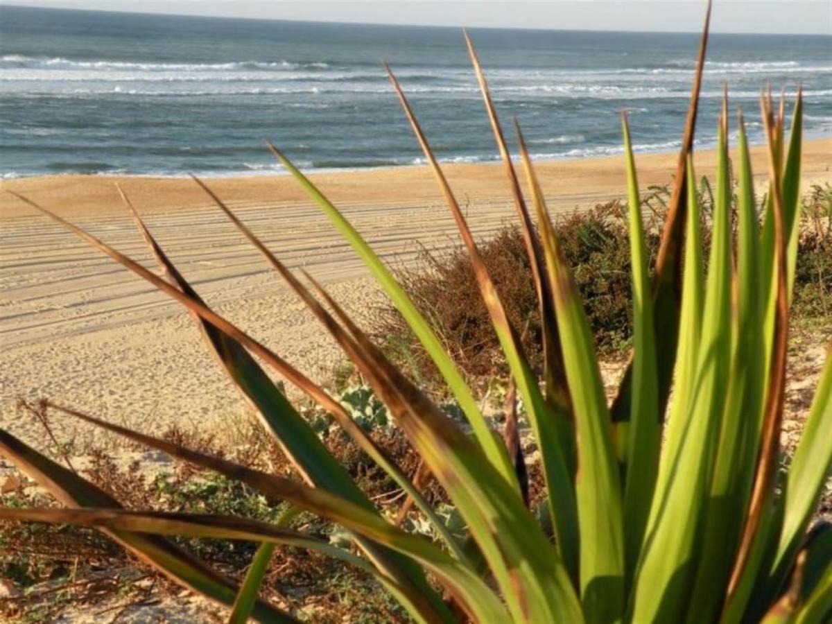 Studio Cosy Proche Ocean Et Commerces, Parfait Pour Des Vacances A Deux! - Fr-1-239-437 سانيوس المظهر الخارجي الصورة