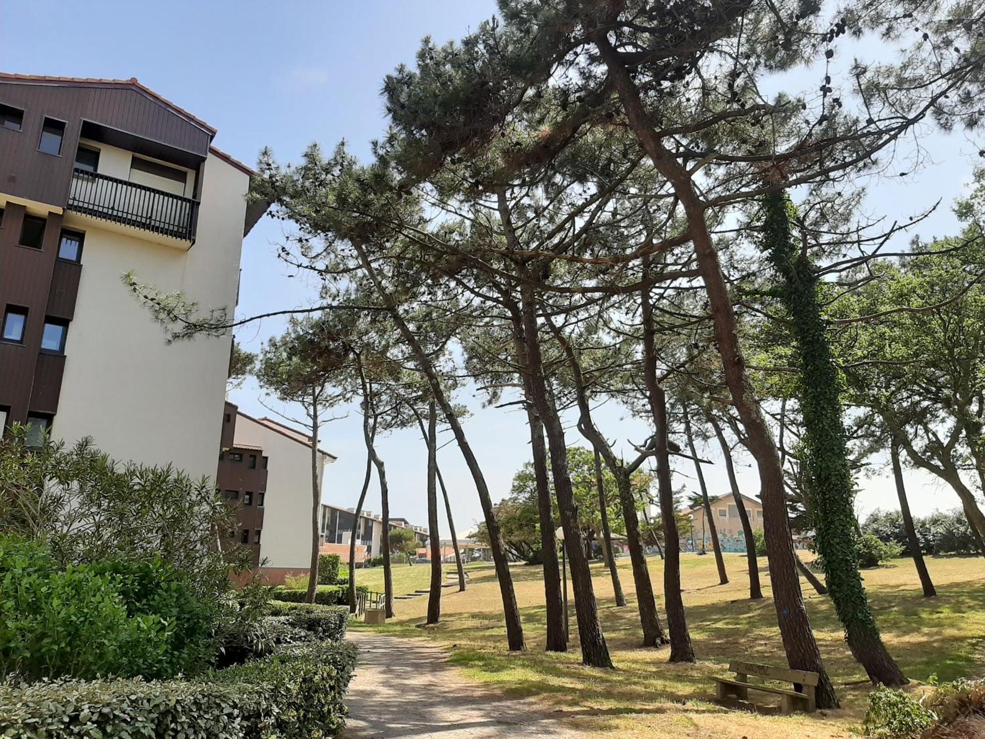Studio Cosy Proche Ocean Et Commerces, Parfait Pour Des Vacances A Deux! - Fr-1-239-437 سانيوس المظهر الخارجي الصورة